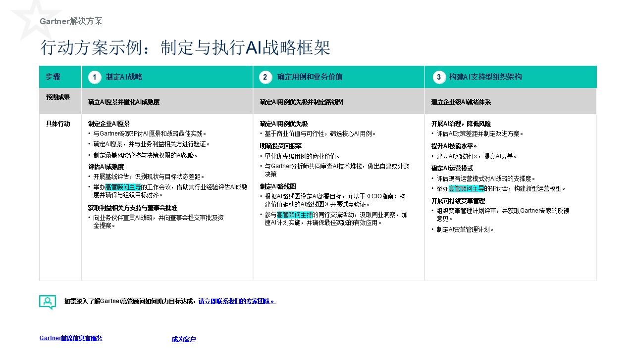 CIO 行动方案示例
