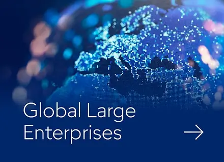 Large Enterprises