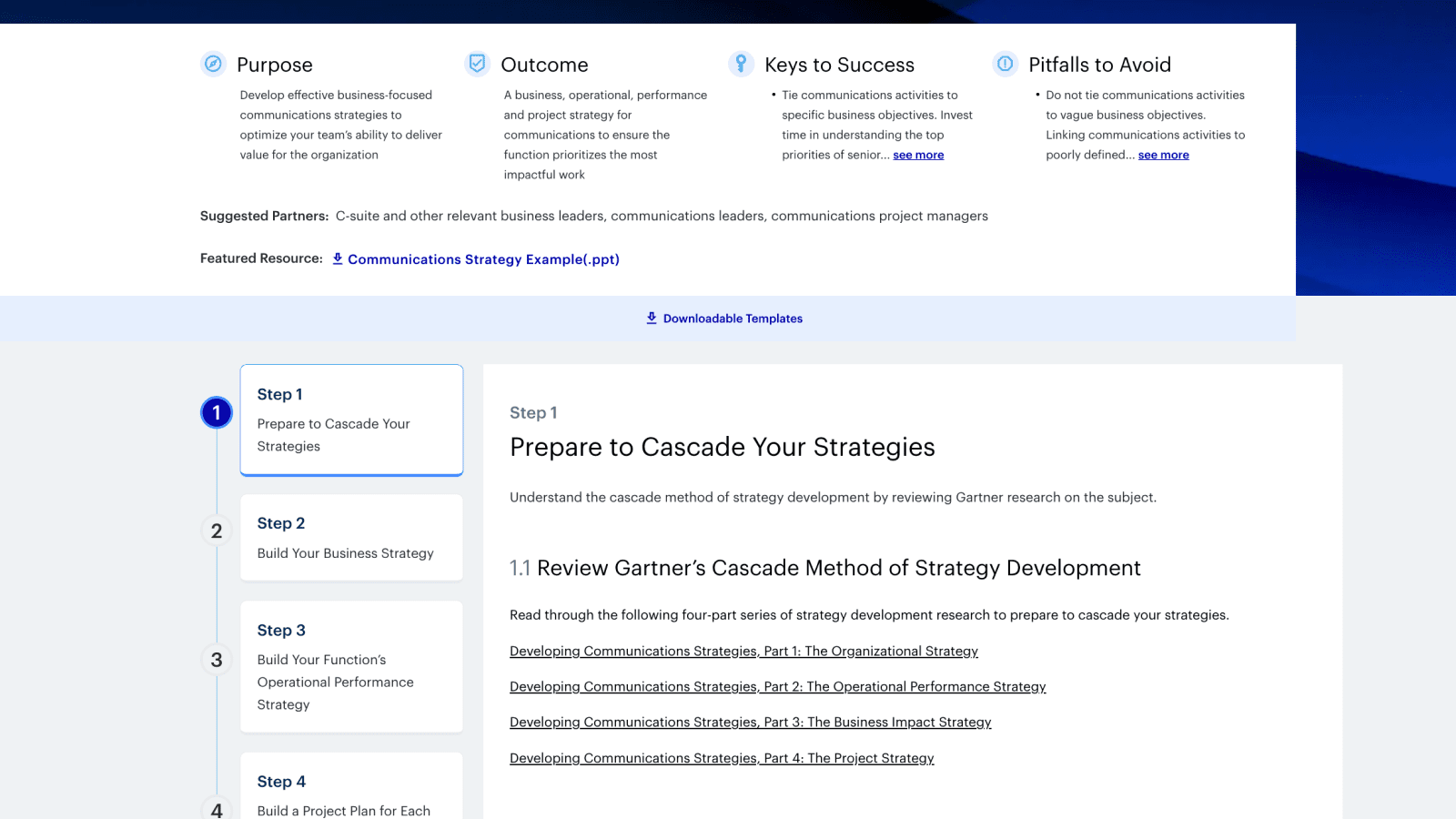 Develop business focused strategies