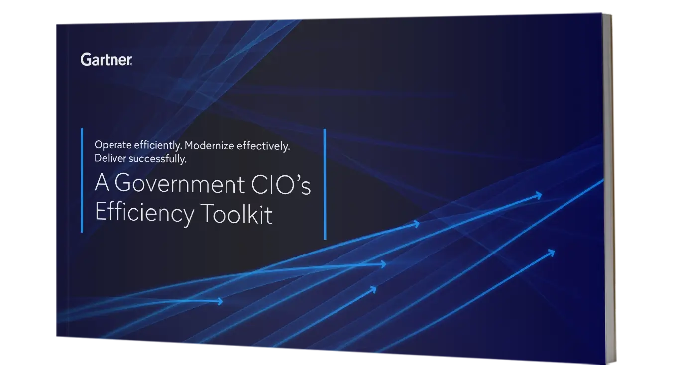 A Government CIO's Efficiency Toolkit