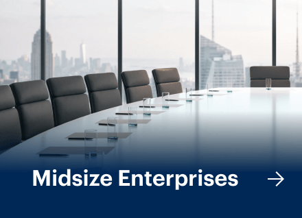 Midsize Enterprises