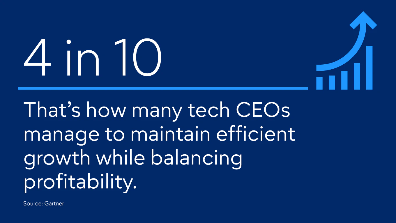 Maintain efficient growth while balancing profitability