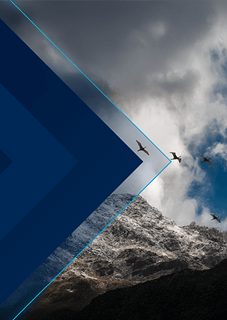 Gartner Chief Sales Officer Quarterly (Q4 2025)