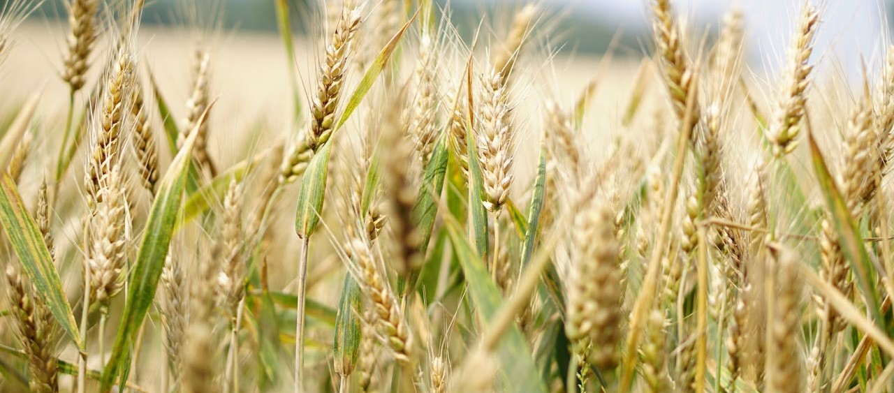 How Supply Chains Can Thrive in a Resource Constrained World